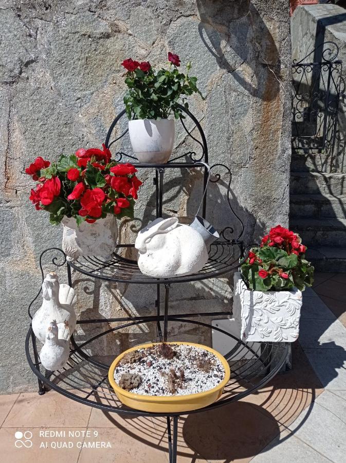 Casa Dell'Aura Bed and Breakfast Chiavari Esterno foto